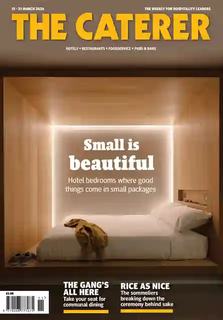 Small is beautiful 13 March 2024
