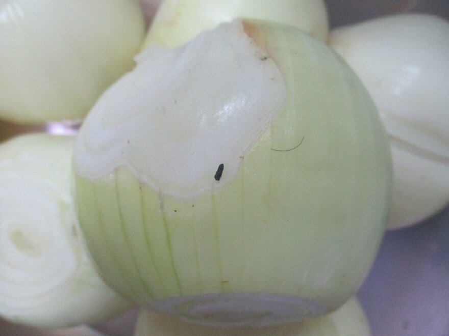 Cockroaches had also been discovered in containers used to store onions